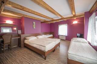 Отели типа «постель и завтрак» Dworek Galosa Строне-Слёнске Апартаменты с 3 спальнями (для 8 взрослых)-2
