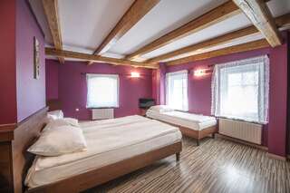 Отели типа «постель и завтрак» Dworek Galosa Строне-Слёнске Апартаменты с 3 спальнями (для 8 взрослых)-3